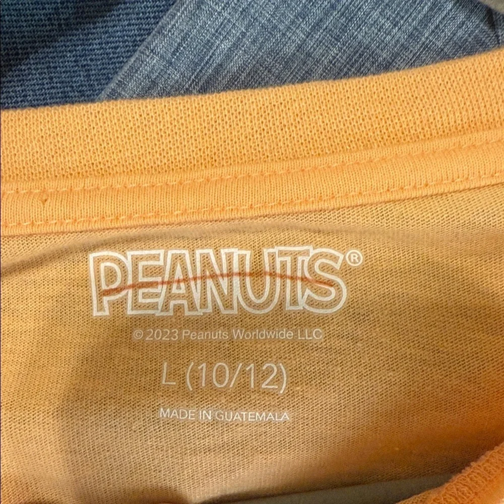 Peanuts Kids Orange Long Sleeve Halloween Long Sleeve Tee Size L 10/12